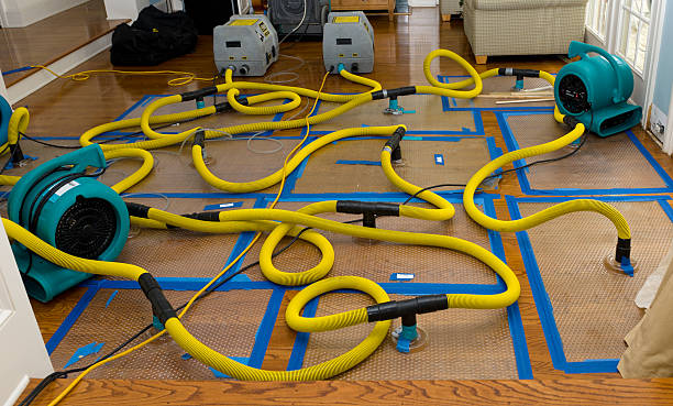 Professional Crawl Space Water Removal technician working in Harrisburg, OH